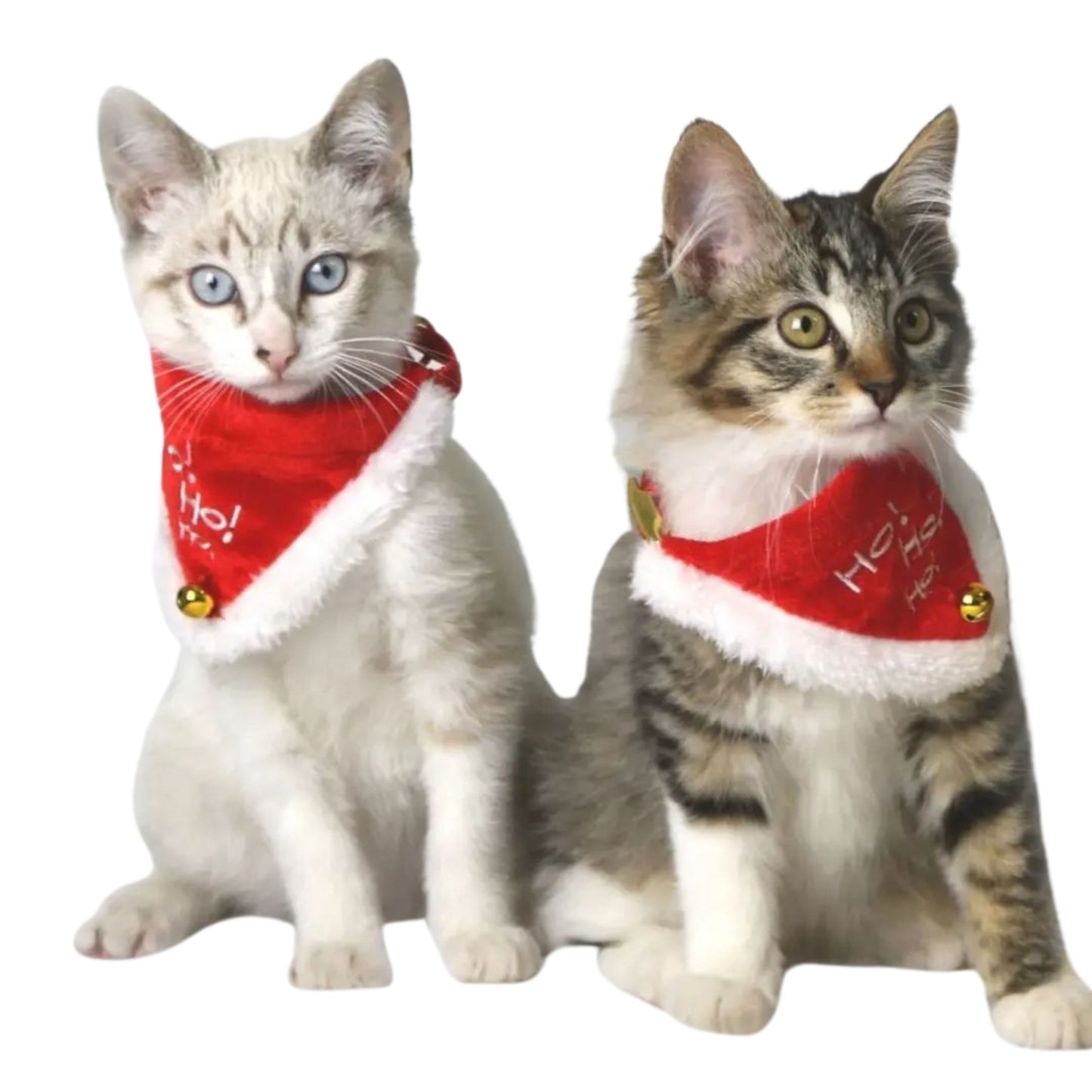 Lenços de Natal