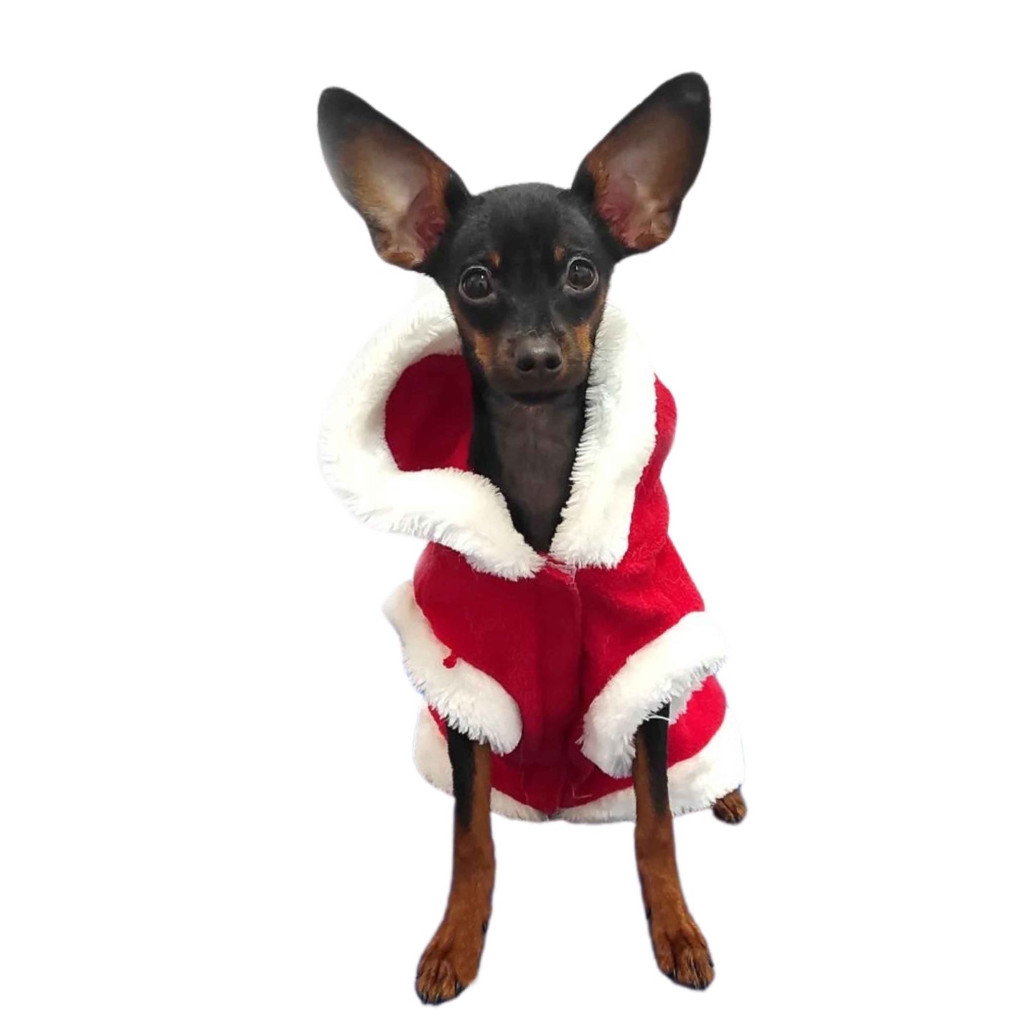 Capa de natal