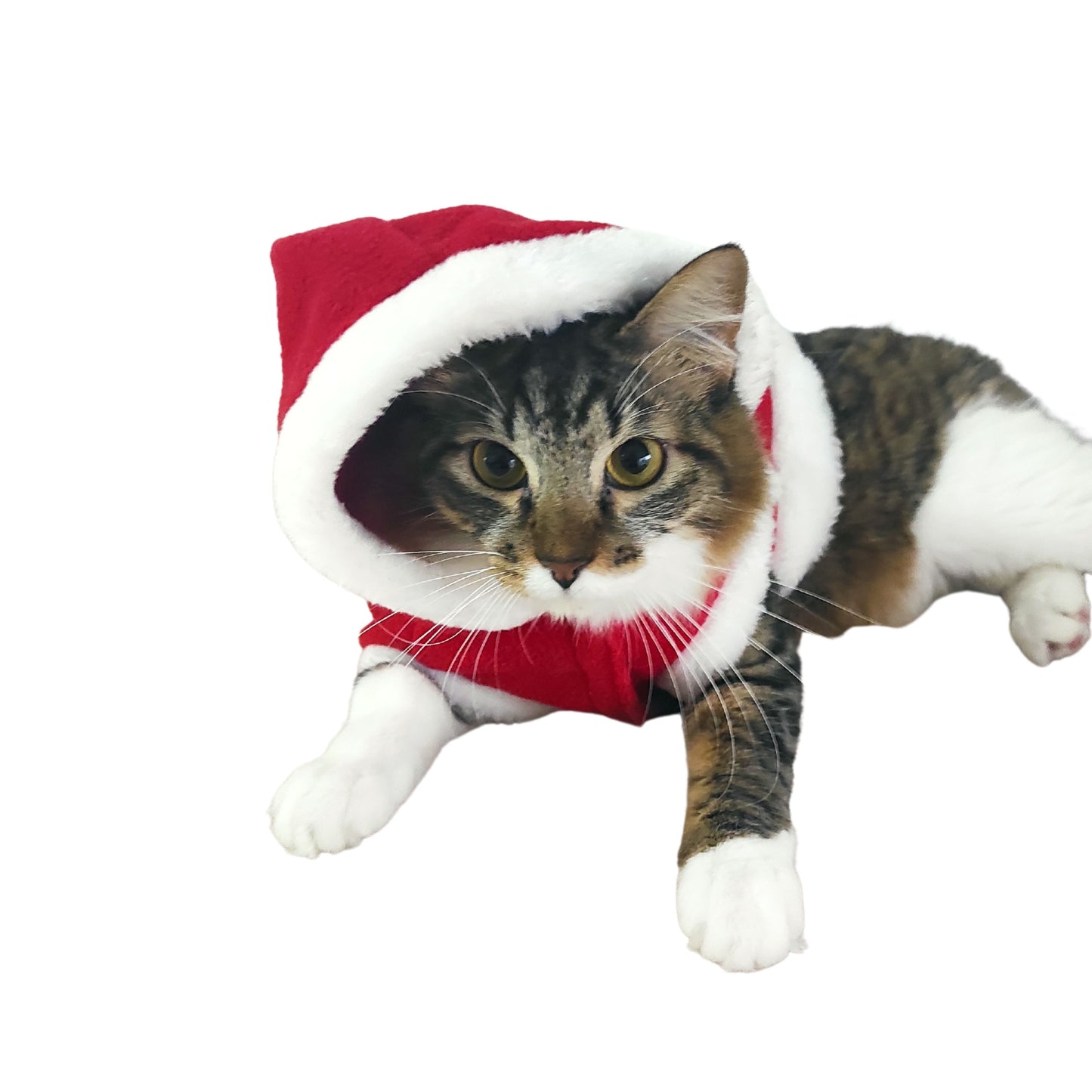 Capa de natal