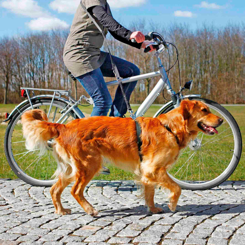 Trela para jogging e bicicleta