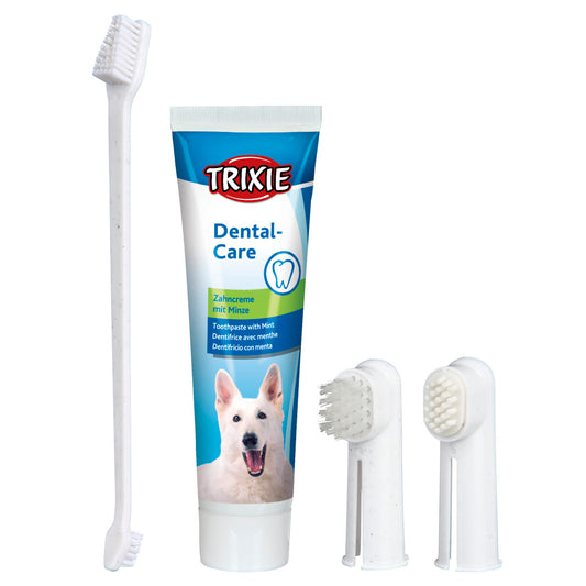 Conjunto de higiene dentária para cães