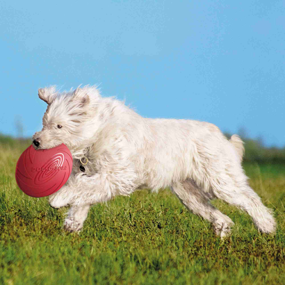 Disco/Frisbee flutuante em borracha natural