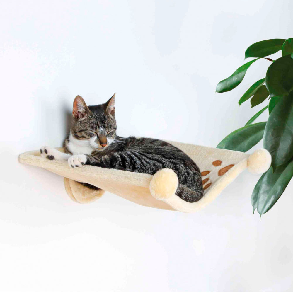 Hammock para gatos com aplicação para parede